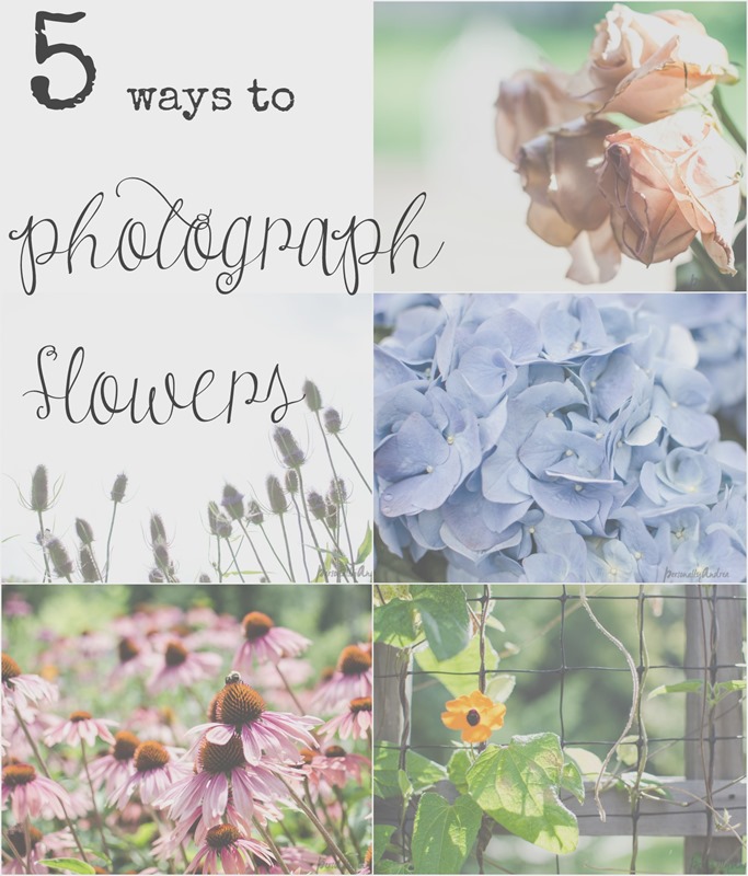 5 ways to photograph flowers