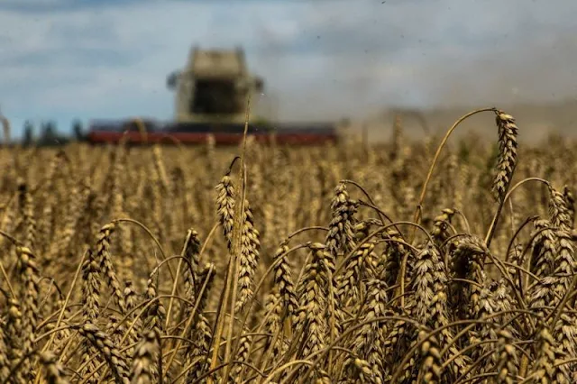 Turkey: Two more grain ships leave Ukraine