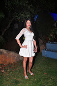 actress kshetra glam pics-thumbnail-23