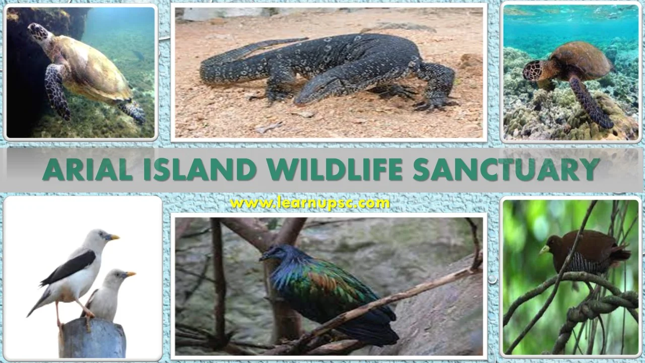 Arial Island Wildlife Sanctuary