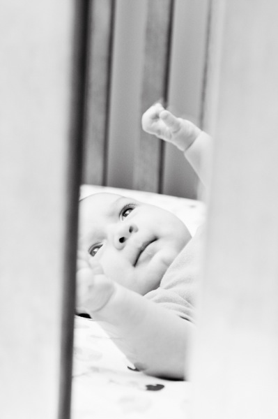 8weeks2 6