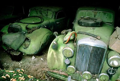 Carros Abandonados