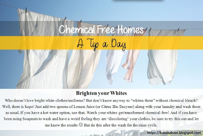 Brighten your Whites (A tip a day for Chemical-free homes)