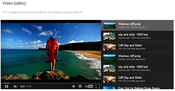 video gallery for WordPress