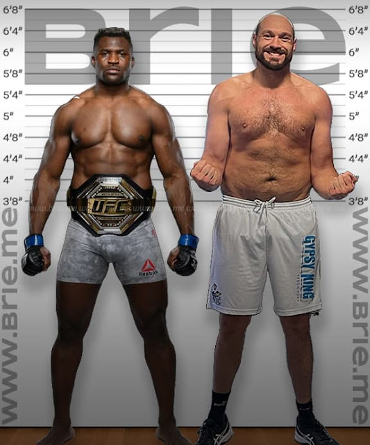Francis Ngannou height comparison with Tyson Fury