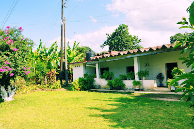 Alrededores de Tlapacoyan, Veracruz