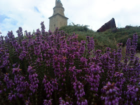 Flower and Tower   Sprint in Tower of Hercules (Corunna, Spain)   by E.V.Pita   http://evpita.blogspot.com/2011/05/flower-and-tower-flores-torre-de.html   Flores + Torre de Hércules  (Primavera en Torre de Hércules, A Coruña)  por E.V.Pita