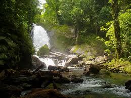 Parque Nacional Corcovado