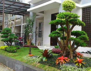 Contoh taman depan rumah