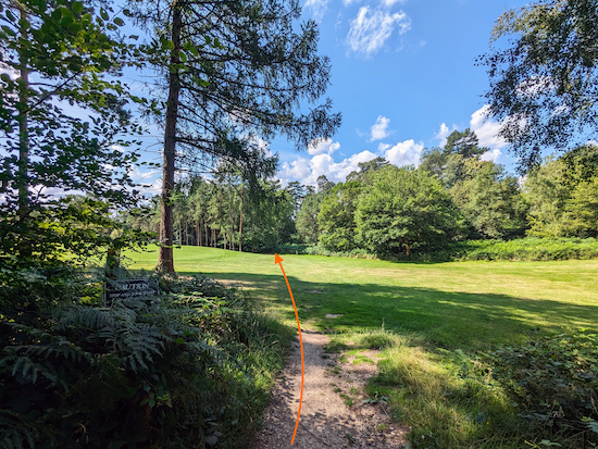 Cross the fairway to reach another stretch of woodland