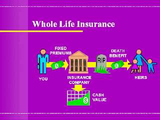 Whole Life Insurance.gif