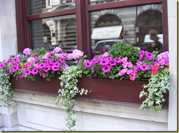 DowntownWindowbox