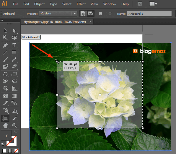 Cara Crop Gambar dengan Adobe Illustrator