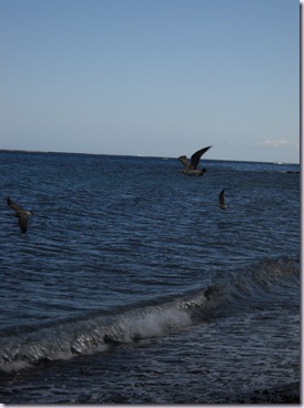 Lanzarote mare 097