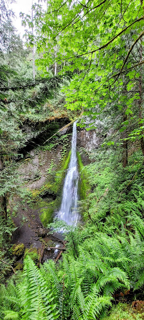 Beautiful view of the waterfall and the greenery surrounding it.