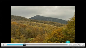 http://www.rtve.es/alacarta/videos/el-bosque-protector/bosque-protector-celulosa-papel-del-bosque/1618547/