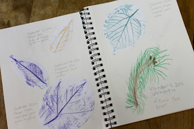 50+ Items to add to a Nature Notebook