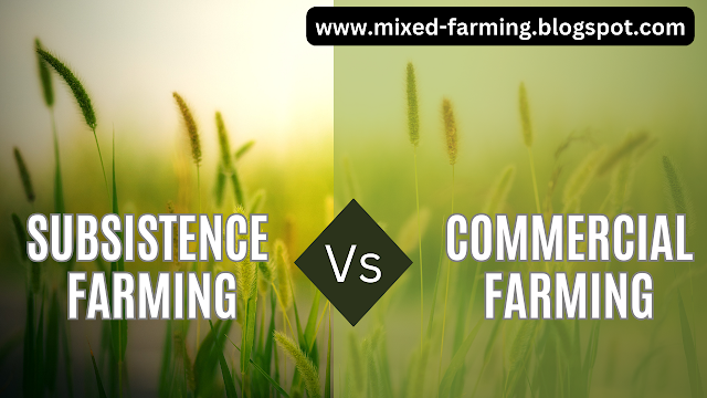 A Comparative Exploration of Subsistence Farming and Commercial Farming