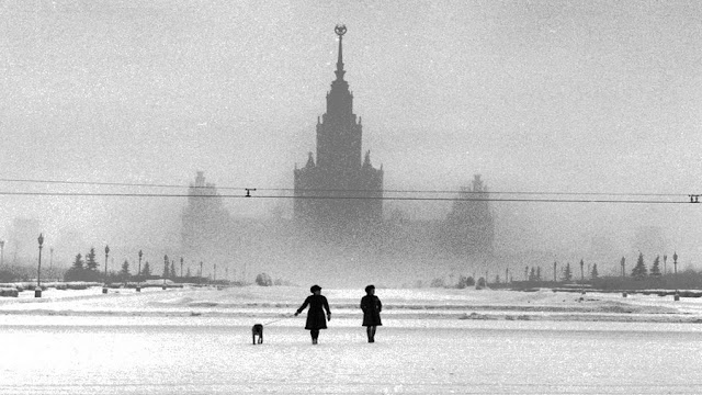 Эллиотт Эрвитт | Elliott Erwitt