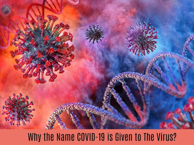 Why the Name COVID-19 is Given to The Virus? 