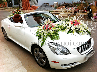 Cho thuê xe cưới Lexus SC 430