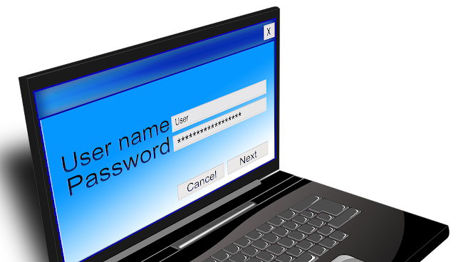 Windows 11 Forgotten Password