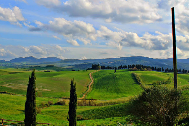 colline toscane