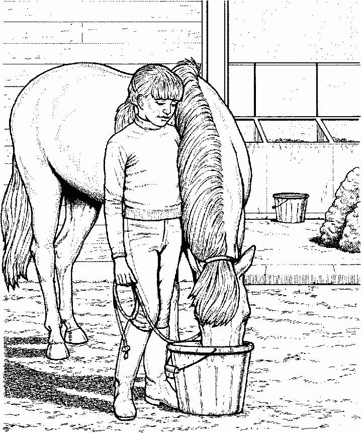 Download Coloring Pages: Horse Coloring Pages Free and Printable