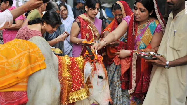 Cows are viewed as sacred in Hinduism, and eating the meat broke his religious vow, Paul says.