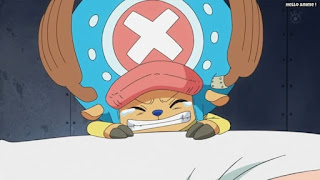 ワンピースアニメ パンクハザード編 622話 チョッパー かわいい Tony Tony Chopper | ONE PIECE Episode 622