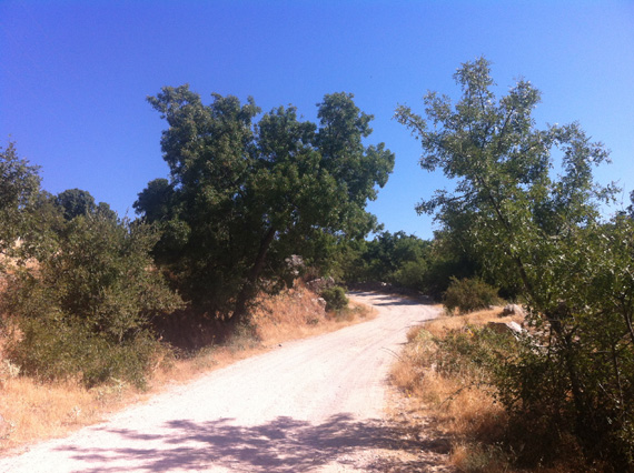 Ruta en bici de Madrid al Puerto de la Morcuera, julio 2012