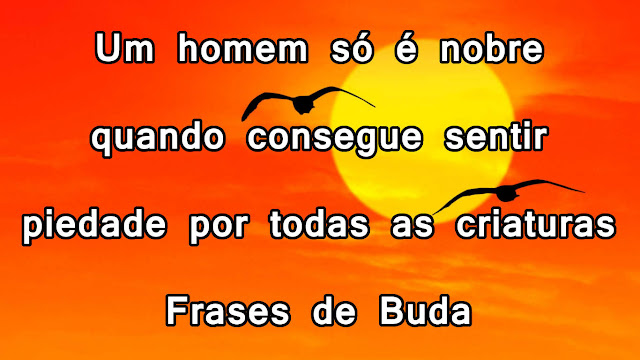 frase de buda