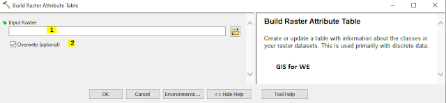Build Raster Attribute Table Tool