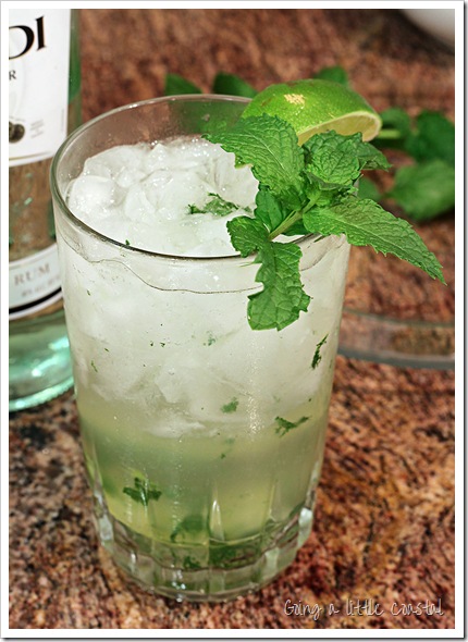 mojito_edited-1