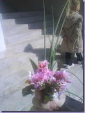 mini_DSC00766