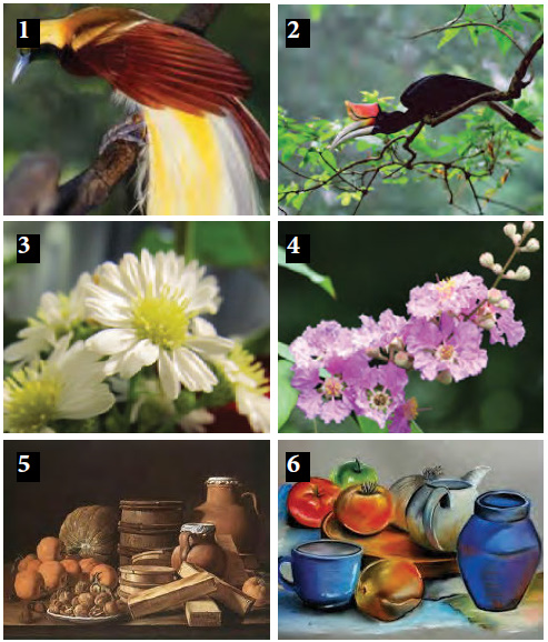 85 Gambar Flora Fauna Dan Alam Benda Beserta 