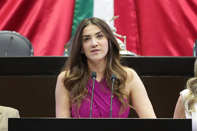 La reforma eléctrica no es apta para México: Paloma Sánchez