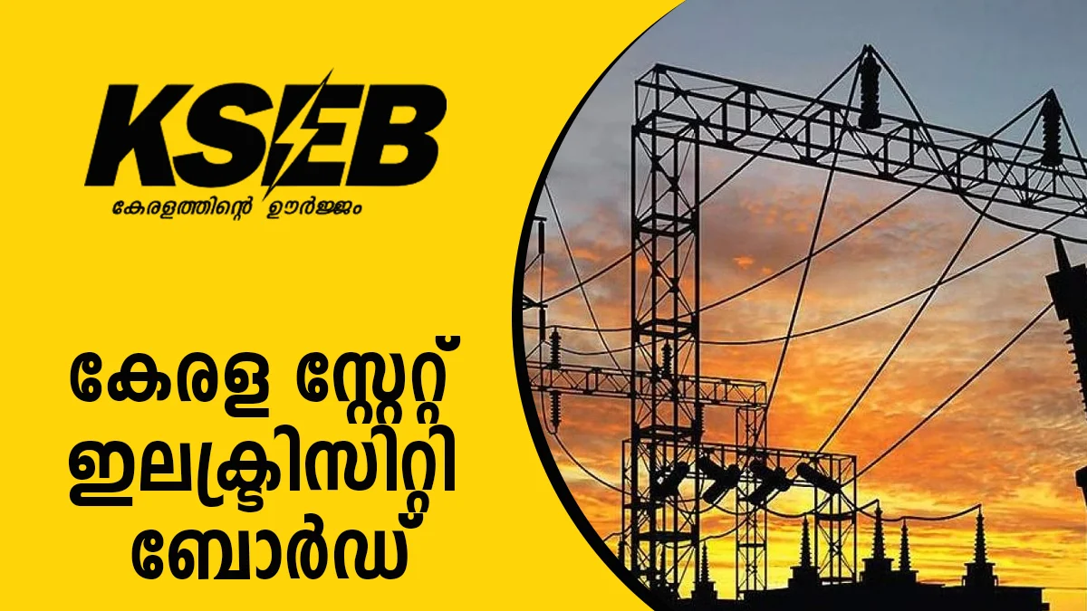 Kerala State Electricity Board (KSEB)