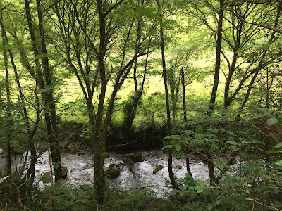 Spain, Marronda forest and the Eo River   by E.V.Pita (2015)  http://evpita.blogspot.com/2015/06/spain-marronda-forest-and-eo-river.html   Fraga de Marronda - río Eo (Baleira, Lugo)  por E.V.Pita (2015)