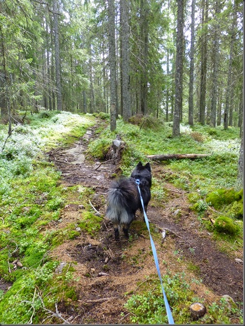 Romeriksåsen 065