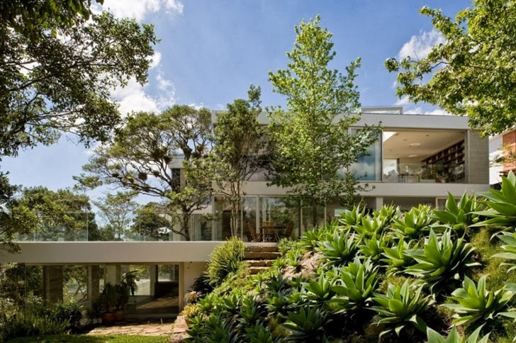 Vegetation around Modern dream home by Paz Arquitectura