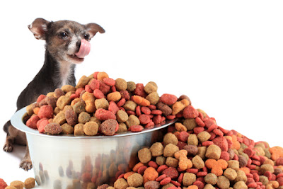 Hypoallergenic dog food
