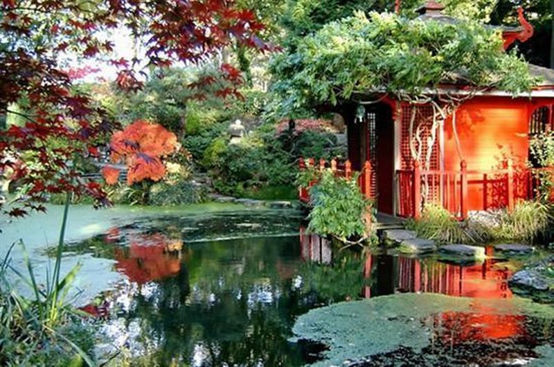 Amazing Beautiful Japanese Garden - Amazing Home Design ...