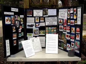 Apples display at Terra Nova Rural Park - Richmond, Seedy Saturday event