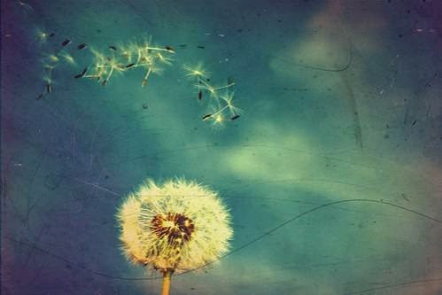 How To Let It Go