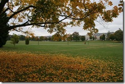 WIPTE virginia 029