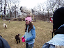 Field Group