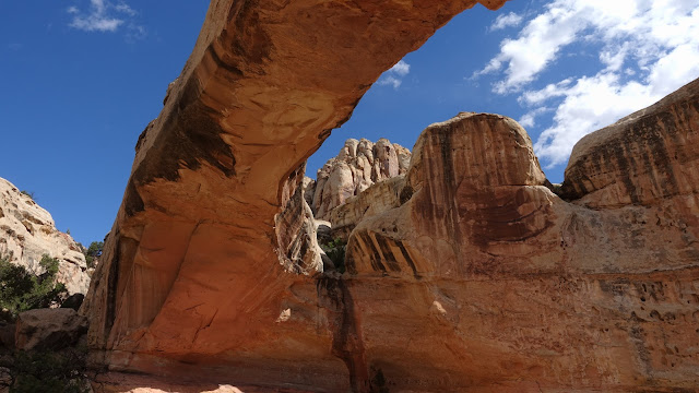 Hickman's Arch, Capitol Reef NP