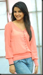 Actress Jasmine Bhasin at Dilunnodu Press Meet Stills