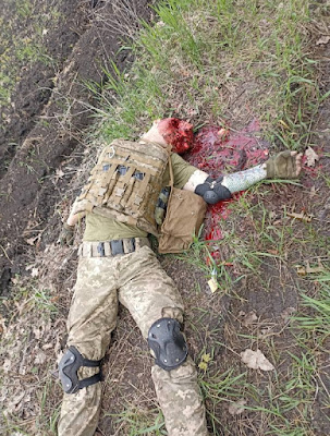 dead Ukrainian army Nato cannon fodder